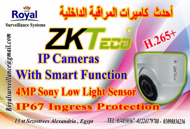  افضل كاميرات مراقبة داخلية 4MP  IP Camera ماركة ZKTECO P_1388lvpvy1